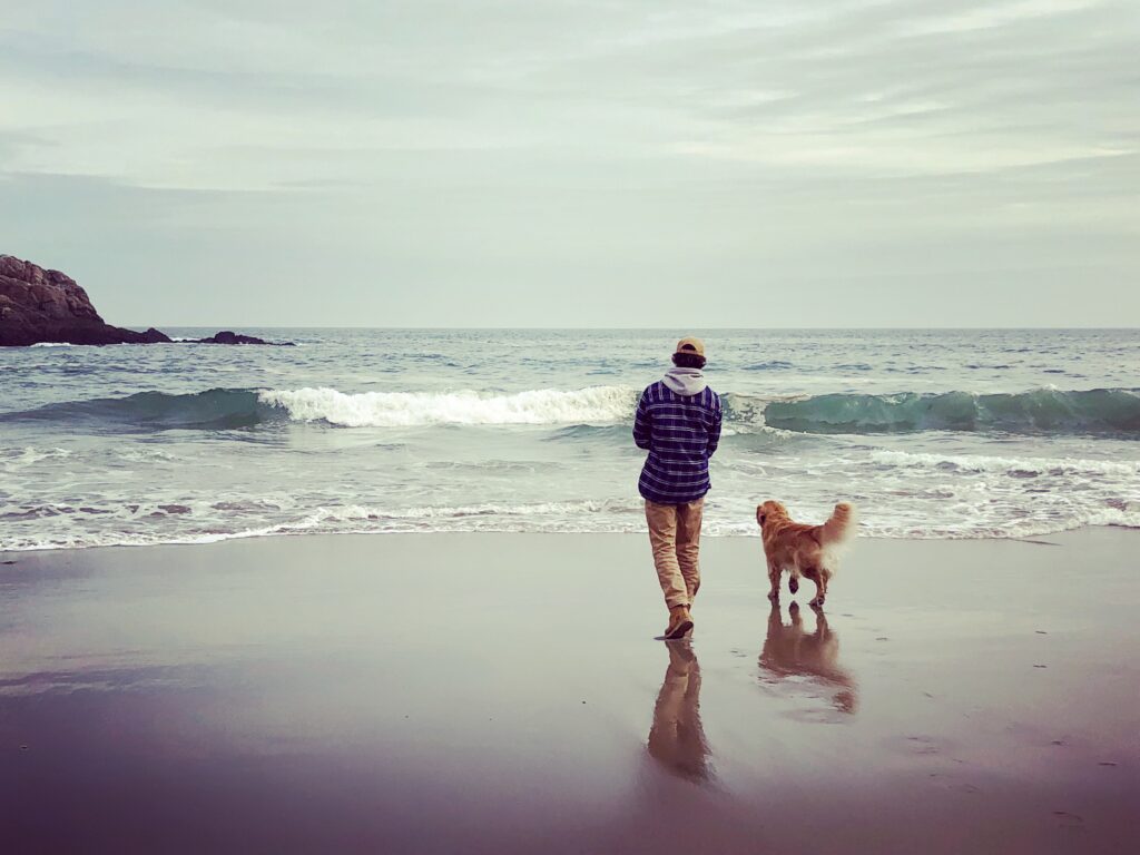 A person and their dog are walking on the beach.