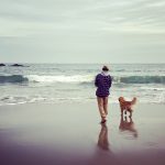 A person and their dog are walking on the beach.