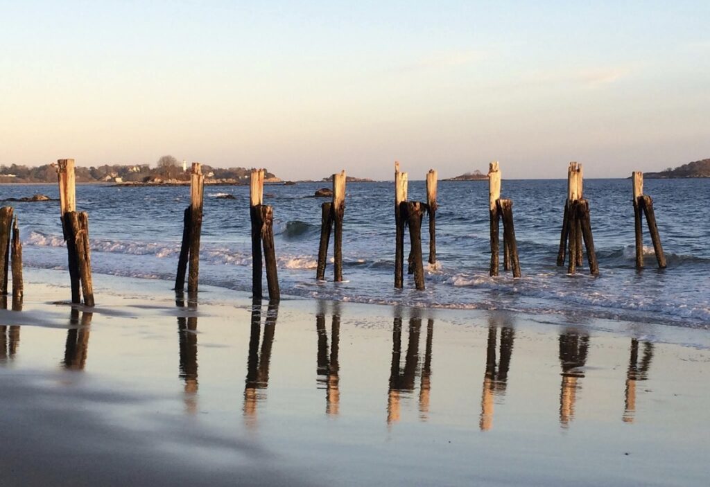 A group of wooden posts in the water.