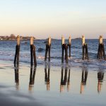 A group of wooden posts in the water.