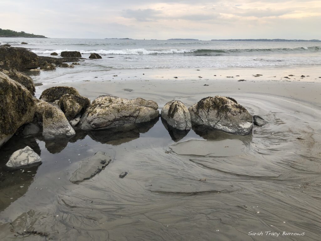 A group of rocks in the water on the beach.