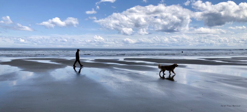 A man and his dog walk along the beach.