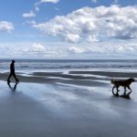 A man and his dog walk along the beach.