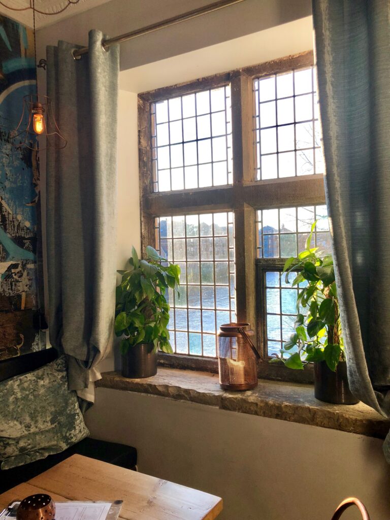 A window with two plants in the middle of it.