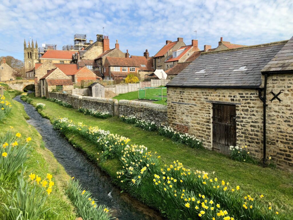 A small village with many houses and flowers